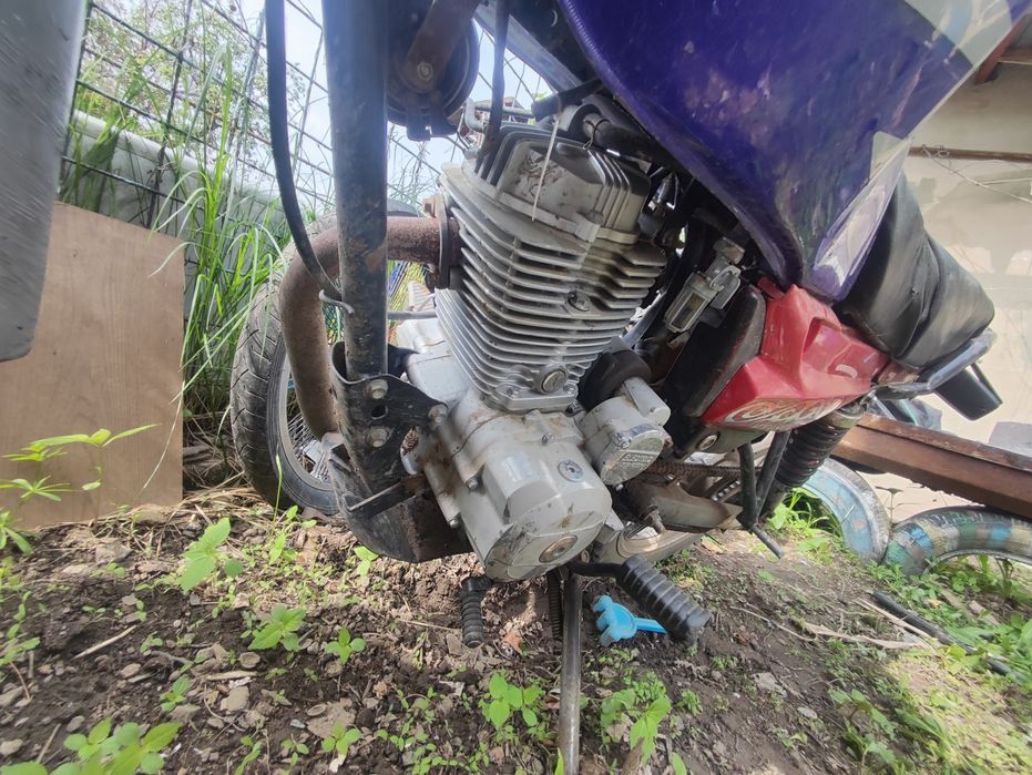 Мотоцикл пастущок,альфа