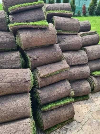 Gazon Rulou Sisteme de Irigare