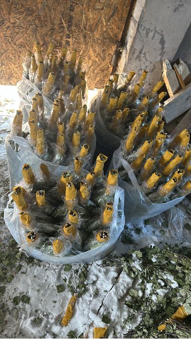 Березовый веники