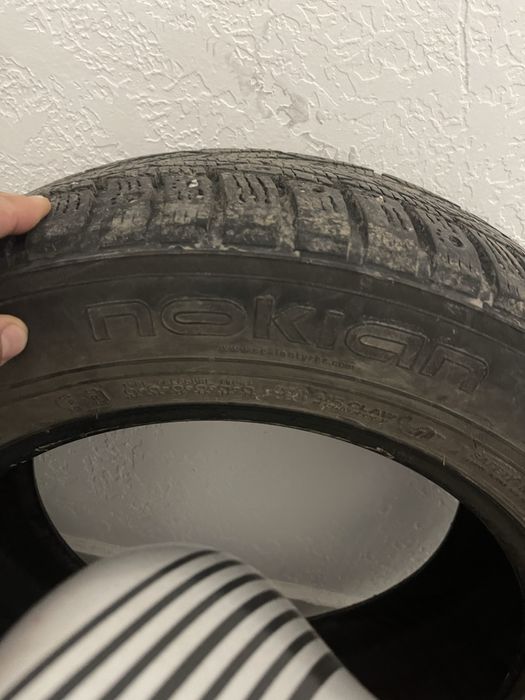 Шина шипованя  16х60х205