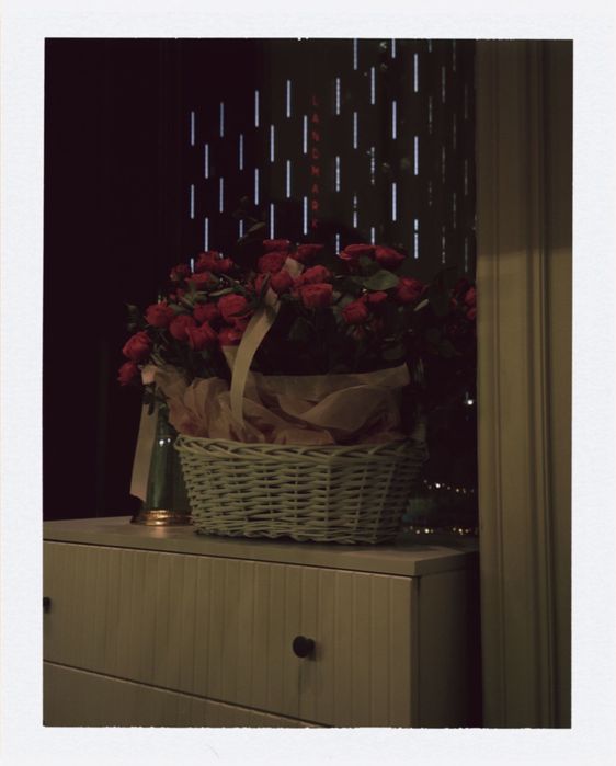 Продаю цветы, кустовые розы