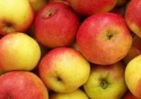 Pomi fructiferi străvechi din  Glia strămoșească soiuri de mar