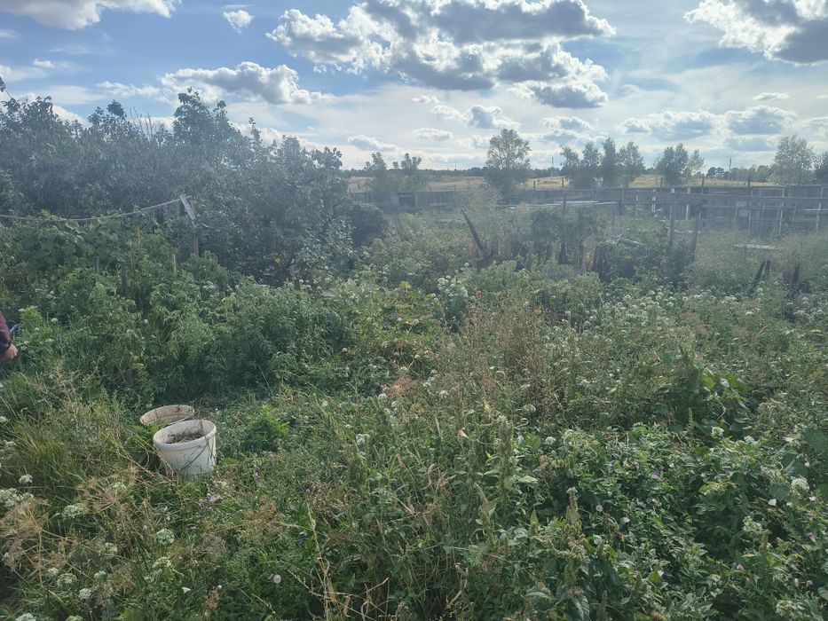 Продам дачу в городе