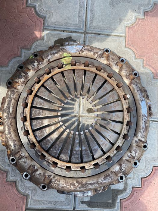 Продам Продам коров