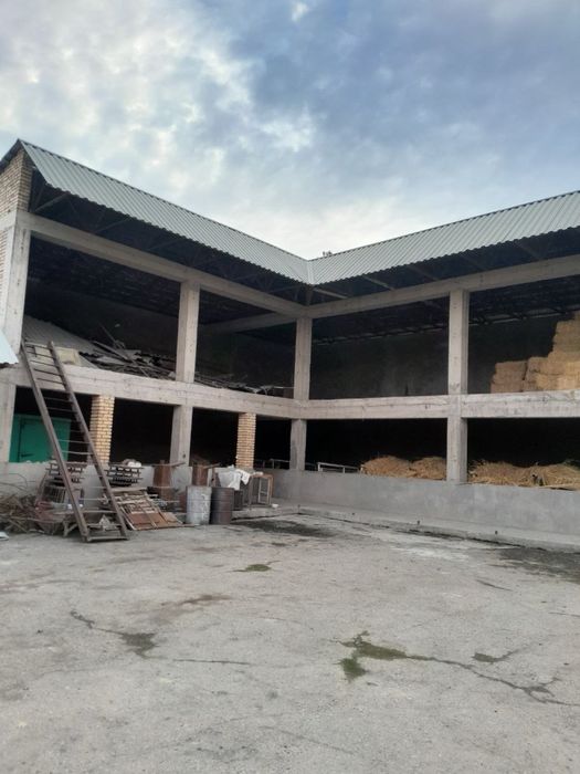 Кибрай туманида тайер ферма сотилади 22 соток