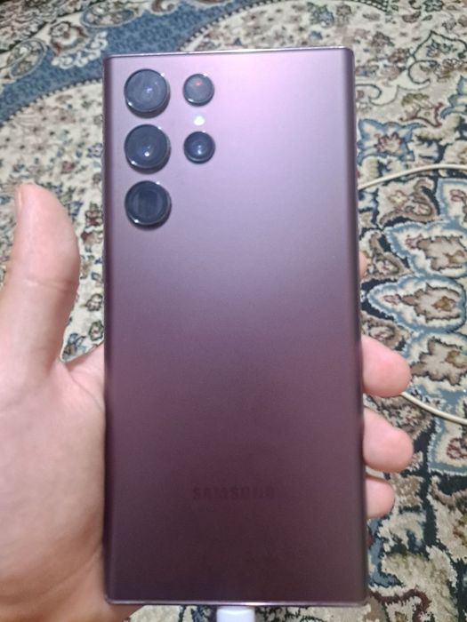 S 22 ultra 24/256