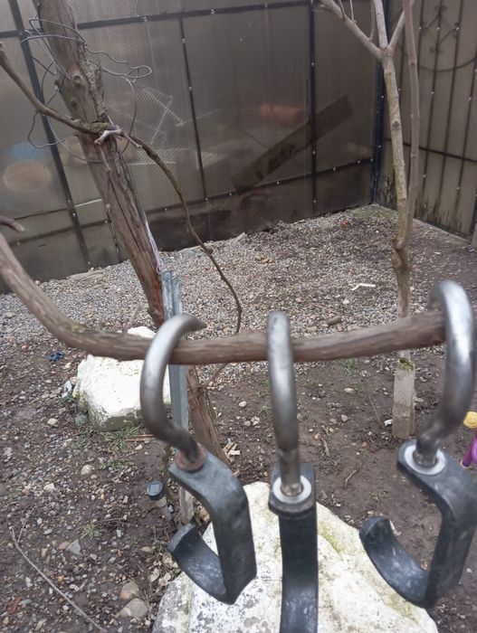 Vand Carlige carlige