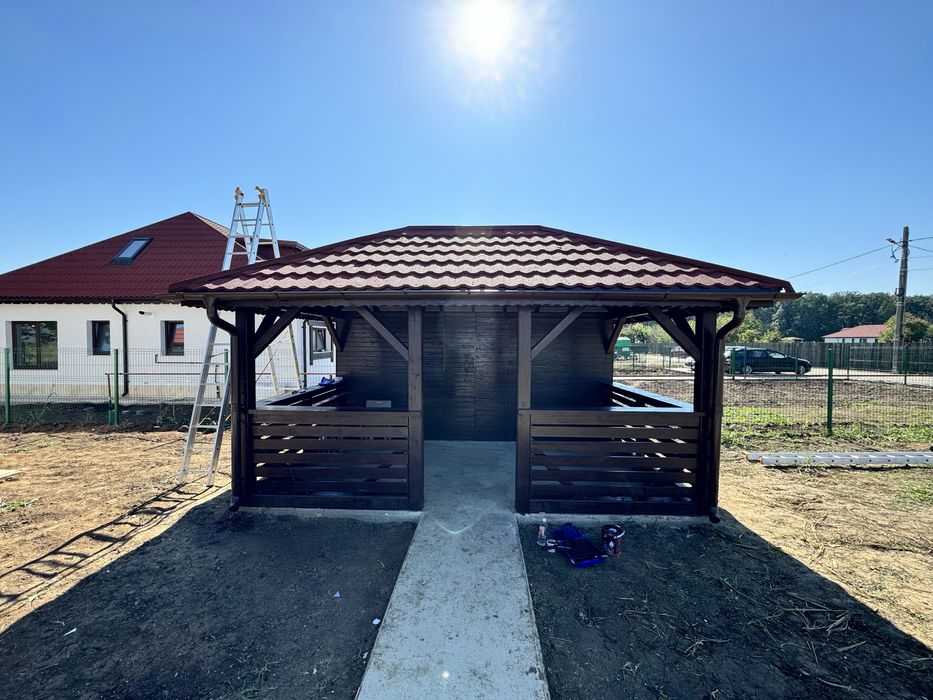 Reparatii/Foisoare/Acoperis