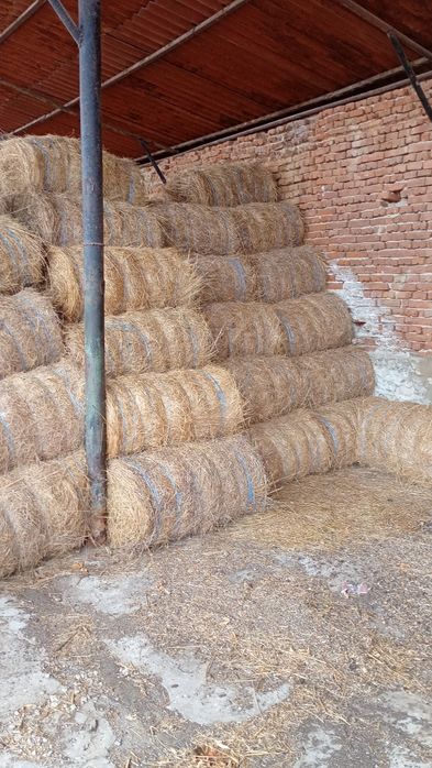 Бали сено 25-30кг