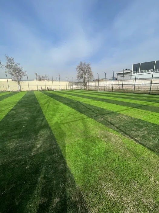Mini stadion , Tayyor biznes sotiladi