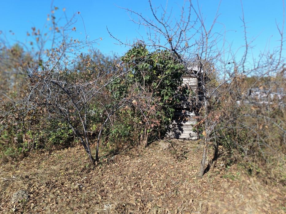 Продам дачу -зем.участок