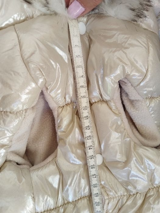 Елече за домашен любимец