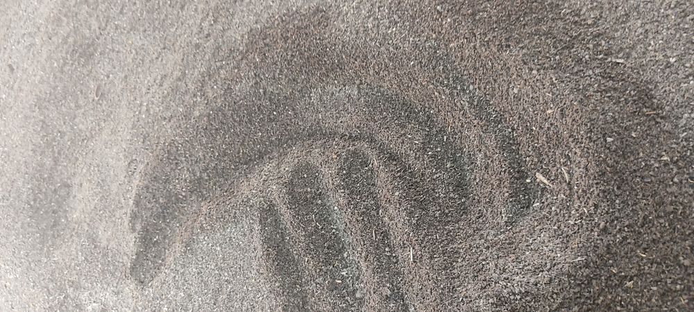 Biogoʻms/Биогумс