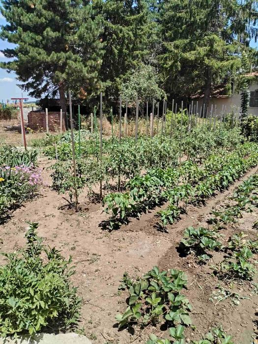 Продава се Къща в с. Кара Михал, Област Разград - 60 кв.м за 510 €/кв.м - Снимка #10