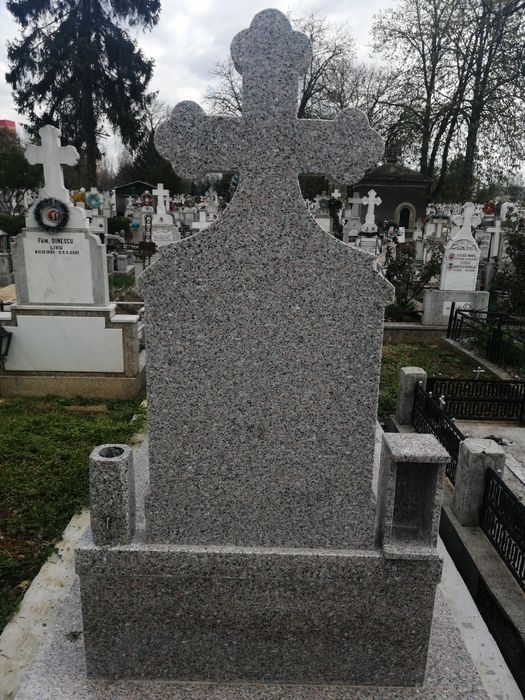 Loc de veci Viisoara