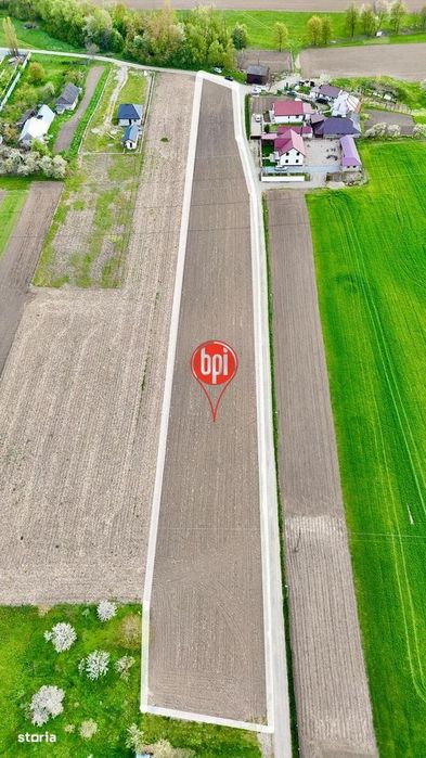 SE VINDE Teren Intravilan de 6.200mp in Loc.Rosiori, Com.Forasti, SV