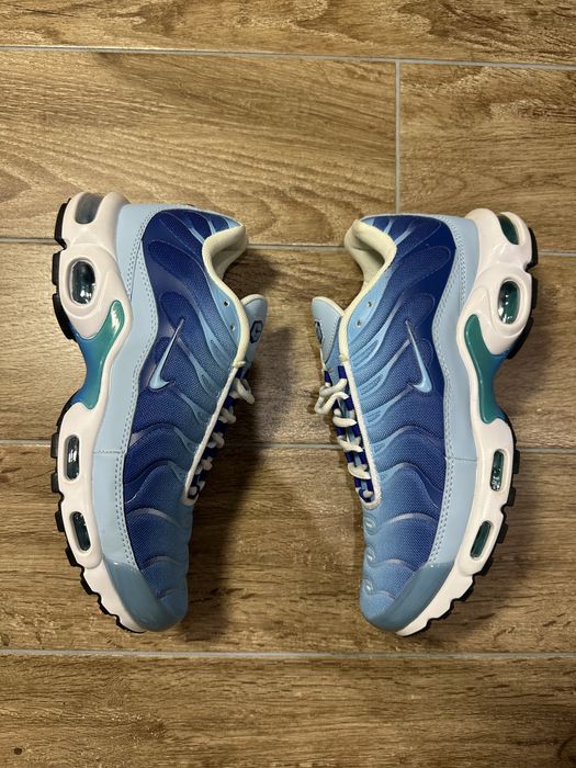 Nike Air Max Plus Tn Blue
