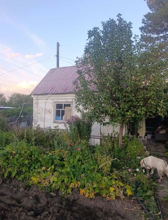 Продам дачу на правом берегу