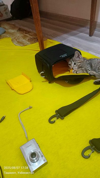 Фотоаппарат Canon 1000 D