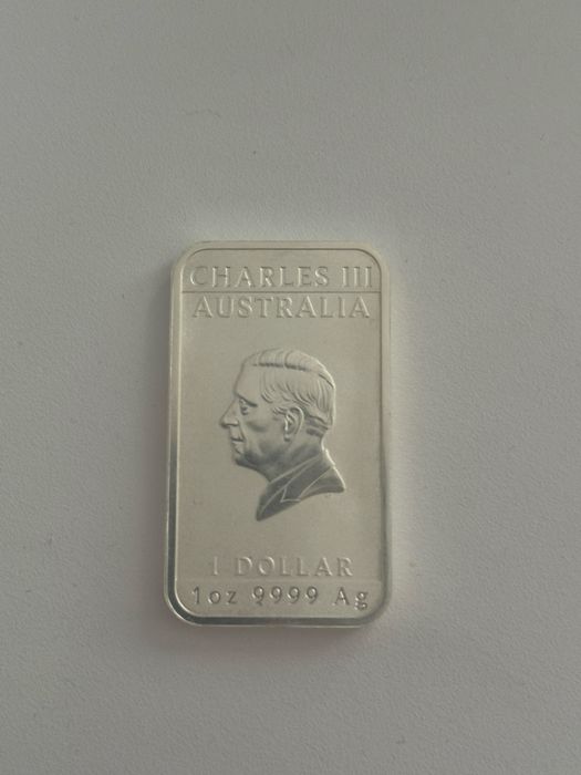 Lingou argint pur 999 1 oz