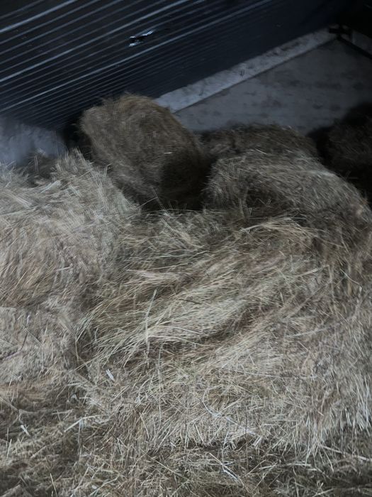 Шоп рулон. Сено. Шөп