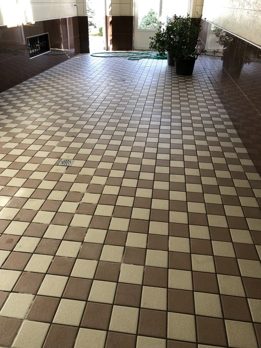 Arzon bruschatka tozalash. Evropa sifat