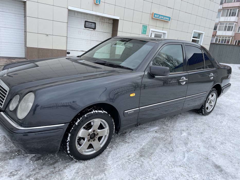 Продам надежного немца