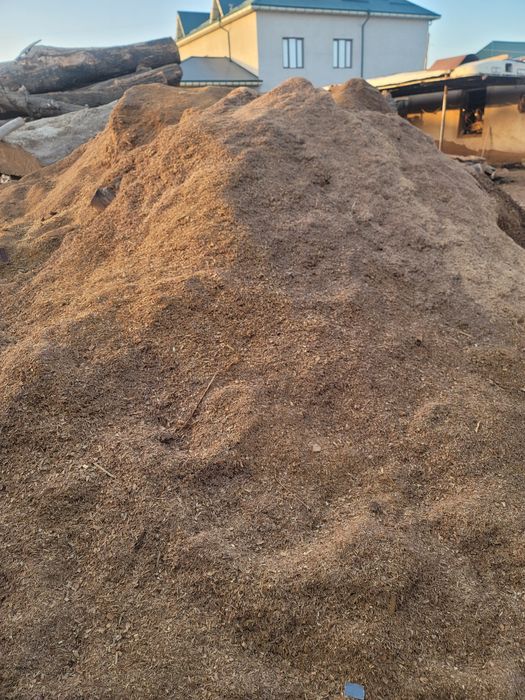 Apilka sotiladi Optimga xaltaga farqi yo'q