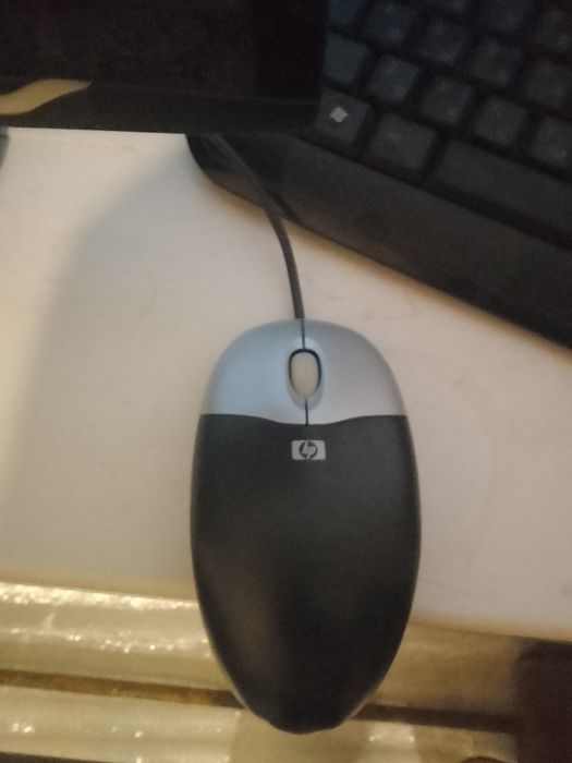 Kompiyuter elg holati zur