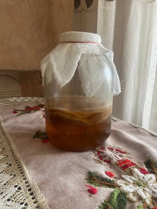 Чайный гриб полезный