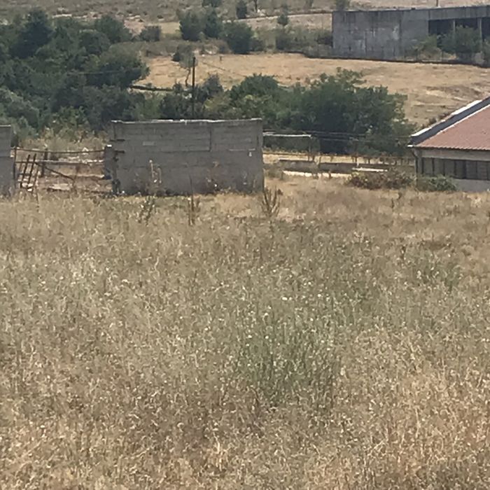 Продава се Парцел в с. Черногорово, Област Пазарджик - 12000 кв.м за 16 €/кв.м - Снимка #8