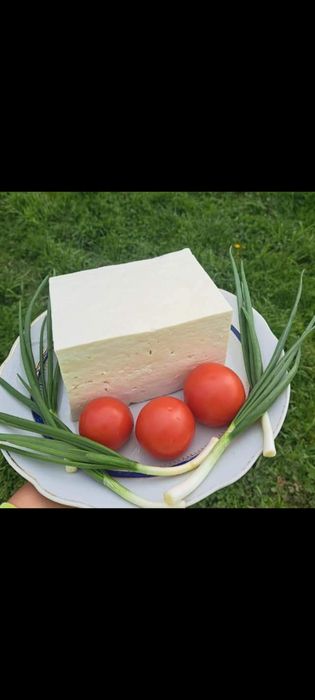 Caș și brânză de oaie