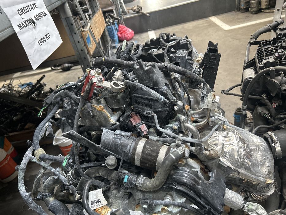 motor focus 4 1.0 ecoboost
