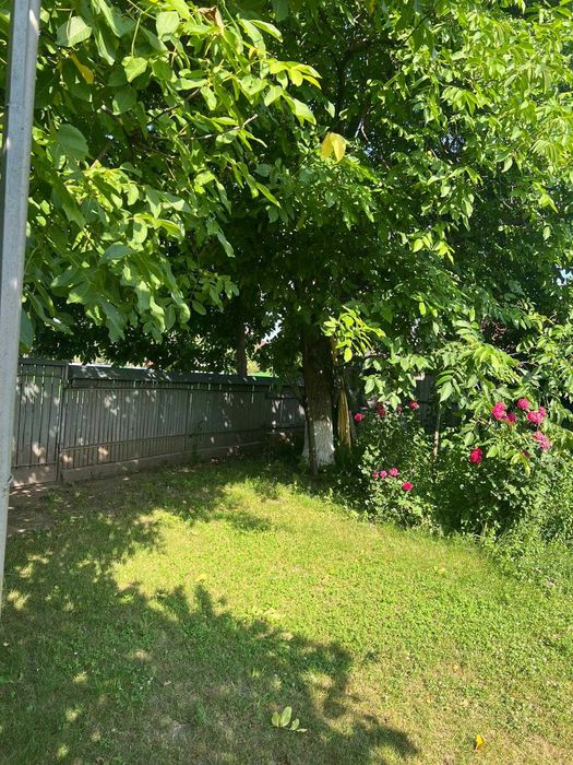 Casa 60 mp Girov, 1500 mp teren, curte superba, iesire prund Cracau