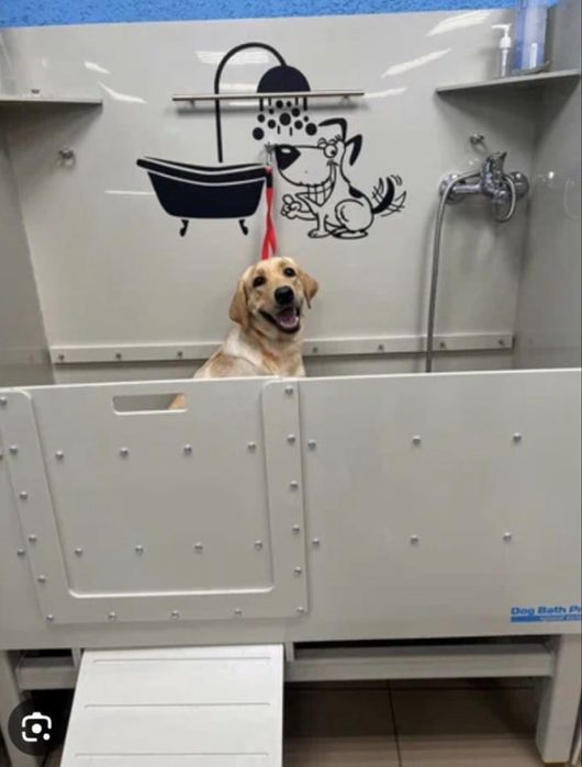 Ванна для груминга