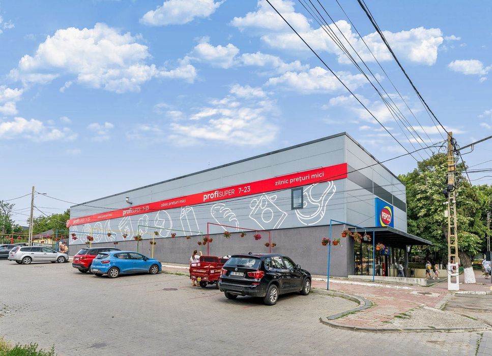 Centru comercial Negresti - Profi + Pepco, 100% inchiriat, 1.125 mp