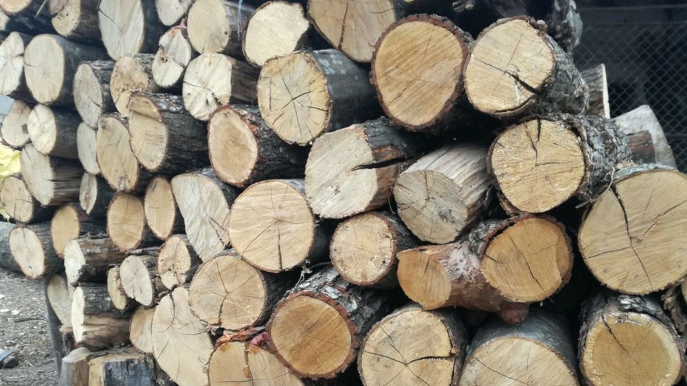Lemne de foc cu transport gratuit