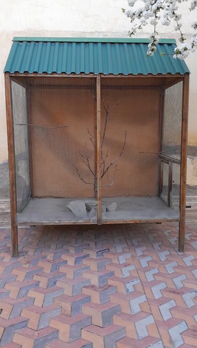 qafas (клетка для птичек)