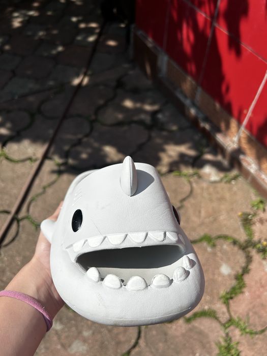 Slapi sharkiez noi