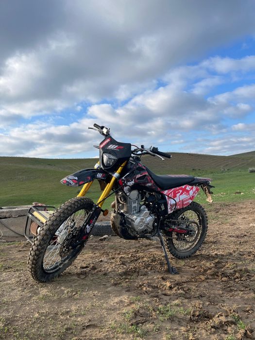 Алмотор 250 куб цепной