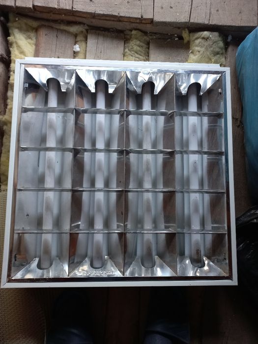 Neoane neoane neoane