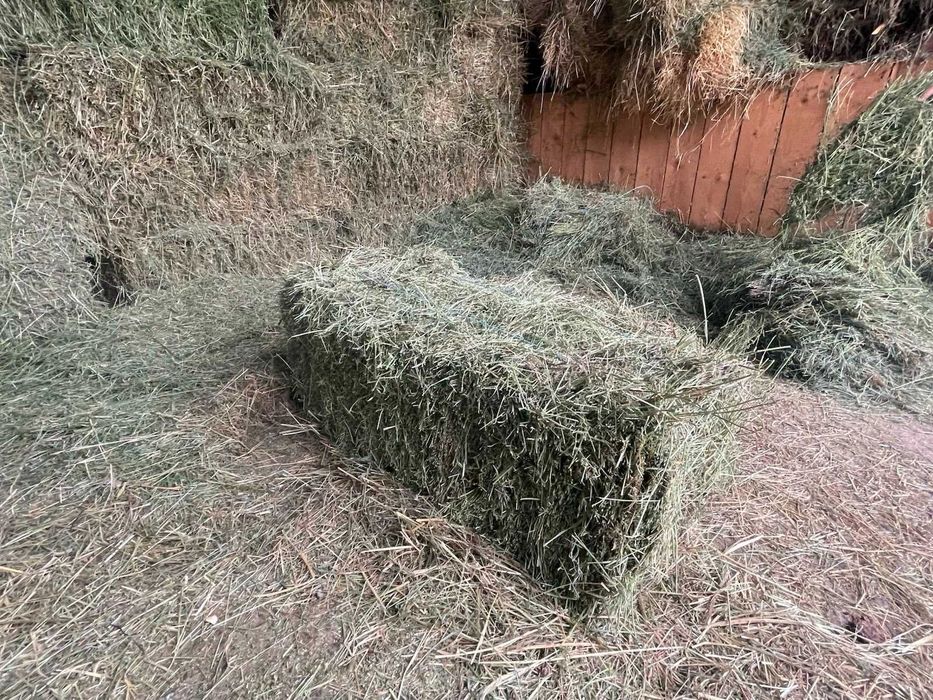 Vând baloți de lucernă și fân  jud.Suceava