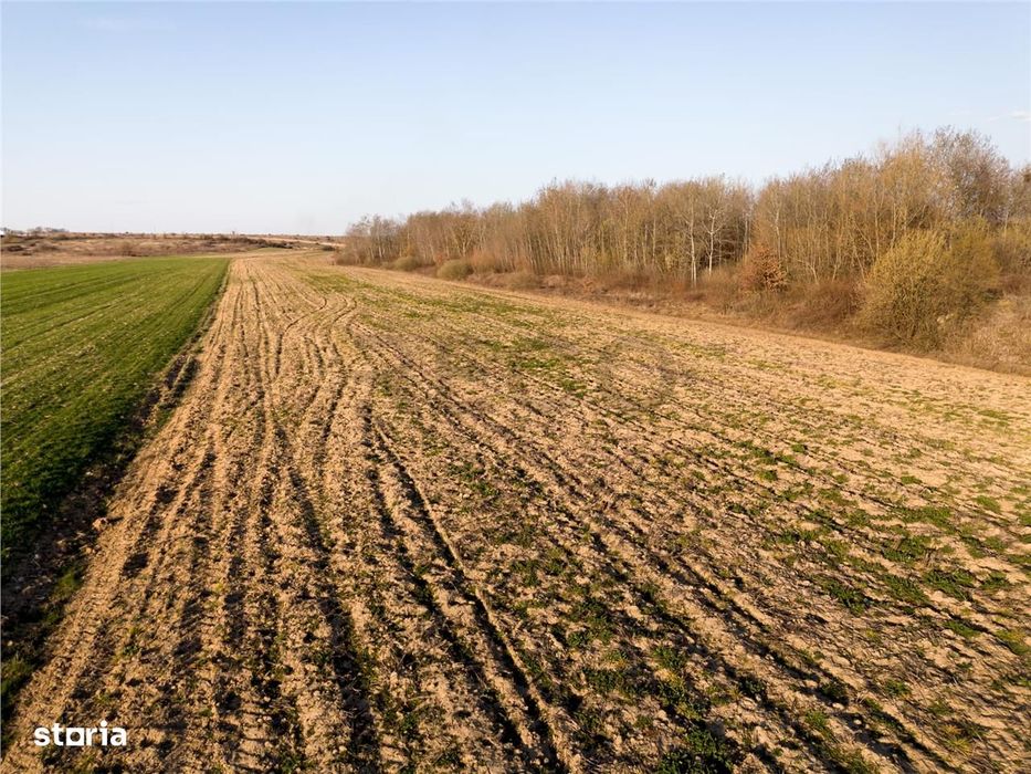 RECO Teren extravilan aproape de zona industriala Beius