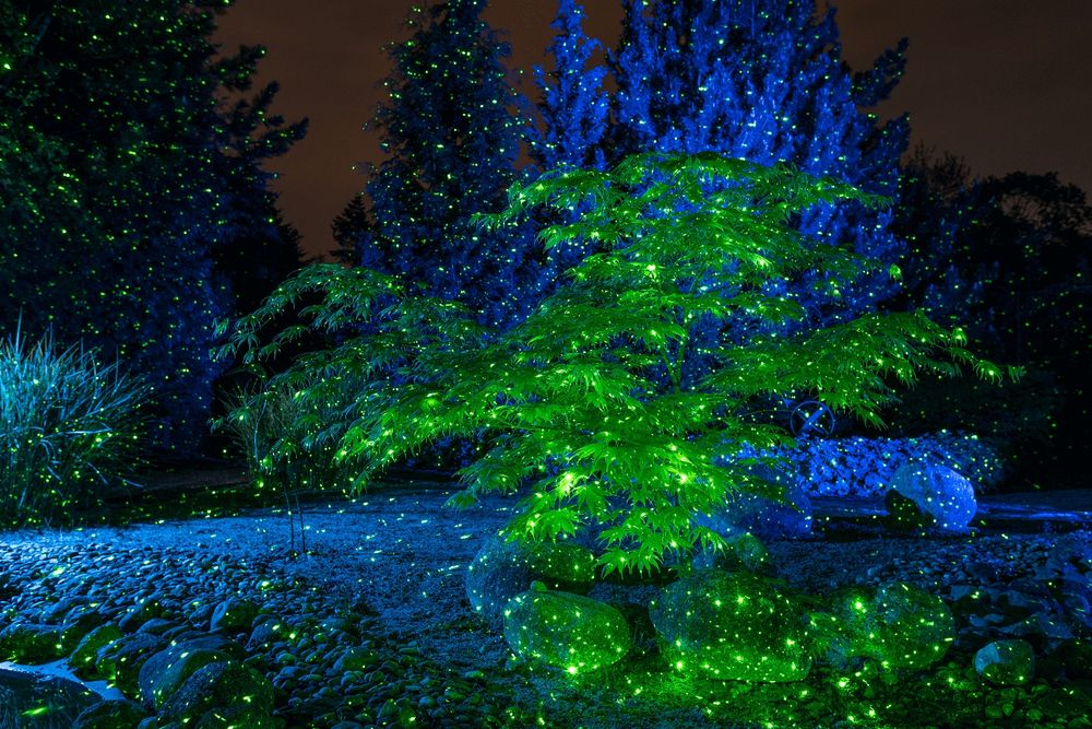 многоточков зелен лазер, градинска декорация, Luхula