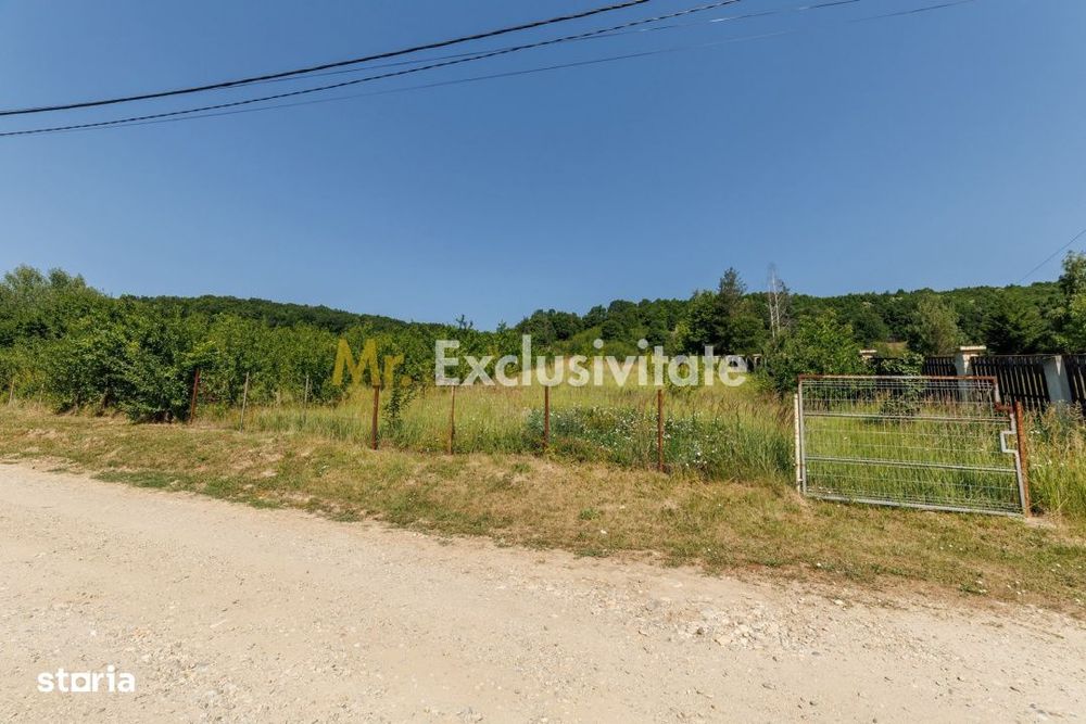 Teren intravilan Ștefănești Valea Mare Podgoria
