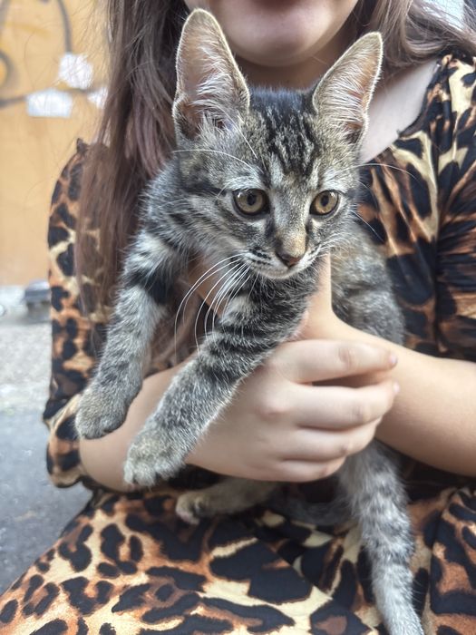 Cleopatra cauta o familie care sa o iubeasca
