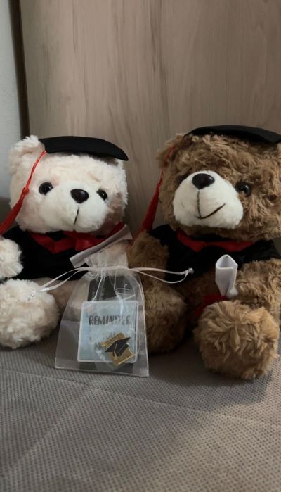 Играчка  абитуриентско мече