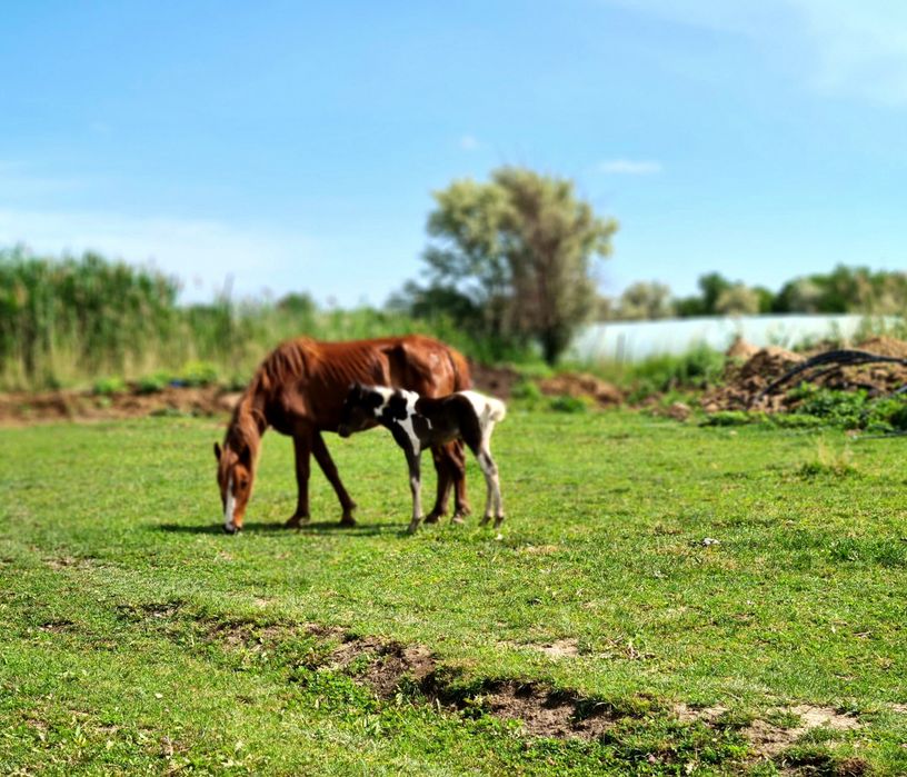Земля! Продам 6,4 га земли.