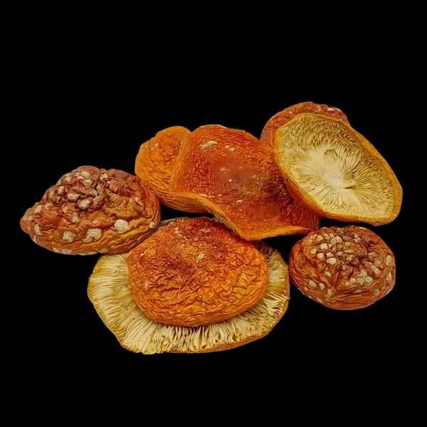 Сушени шапки Amanita muscaria – комплекти + подарък