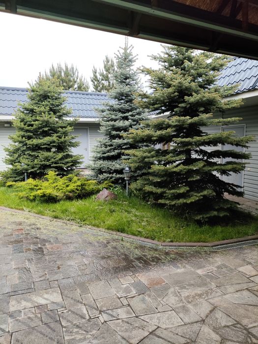 Продам дом в Алматы в предгорье